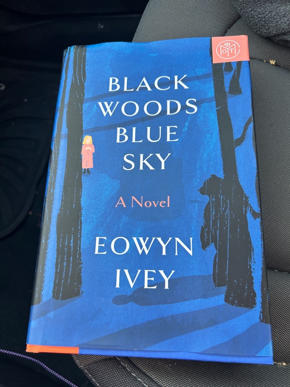 Black Woods Blue Sky by Eowyn Ivey